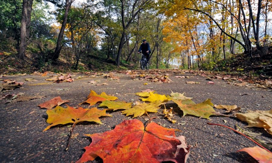 Explore Lake Minnetonka: A Scenic Fall Bike Loop for Cyclists