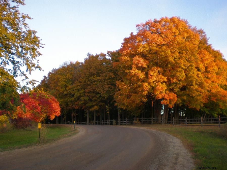 Explore Lake Minnetonka: A Scenic Fall Bike Loop for Cyclists