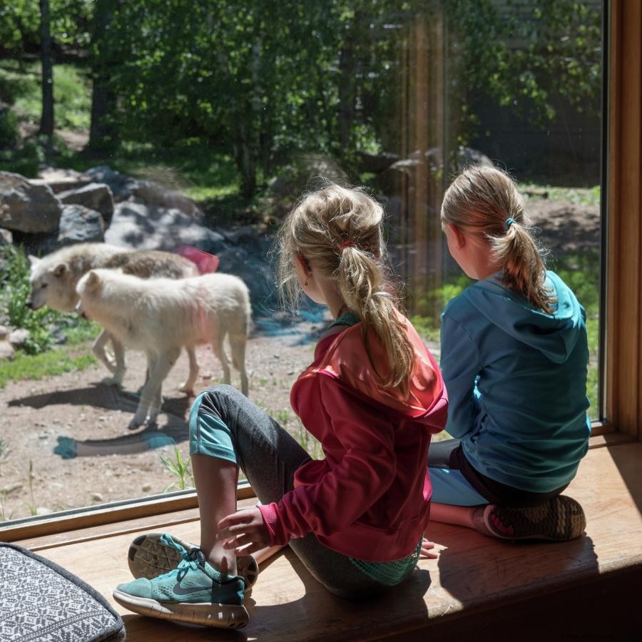 Transform Your Minnesota Vacation into an Educational Adventure