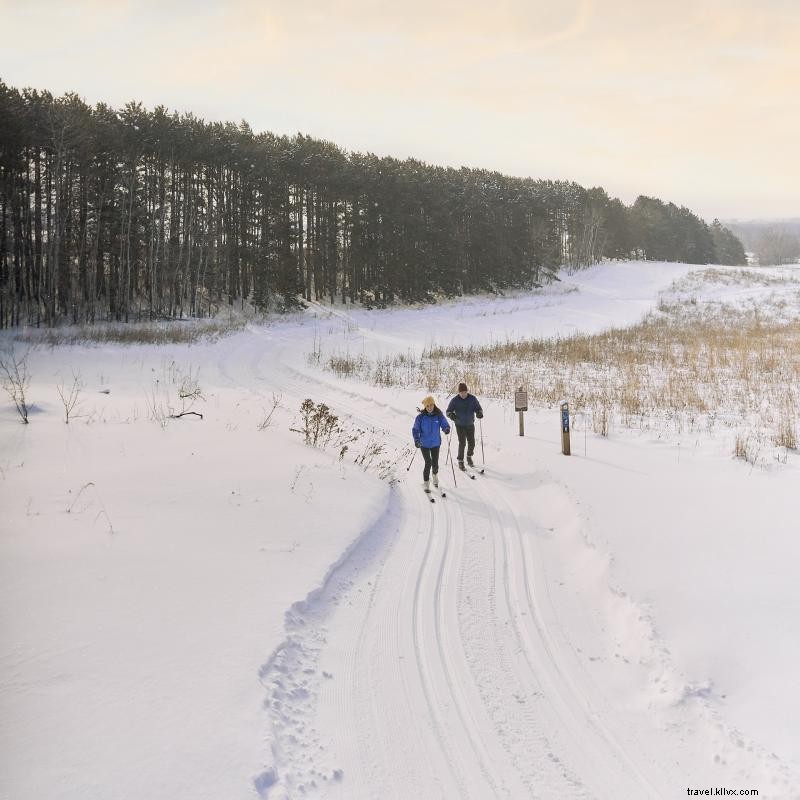 Minnesota: The Premier Destination for Cross-Country Skiing