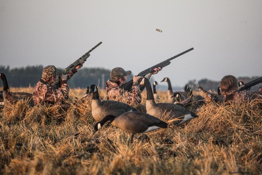 Explore Minnesota’s Premier Upland Bird Hunting: Grouse, Pheasant & More