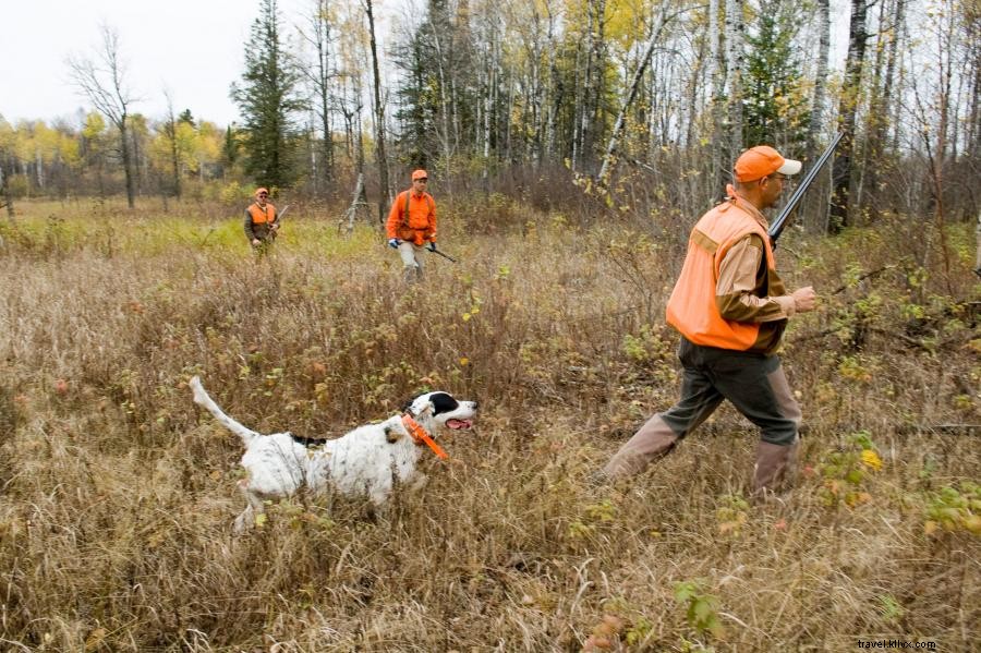 Explore Minnesota’s Premier Upland Bird Hunting: Grouse, Pheasant & More