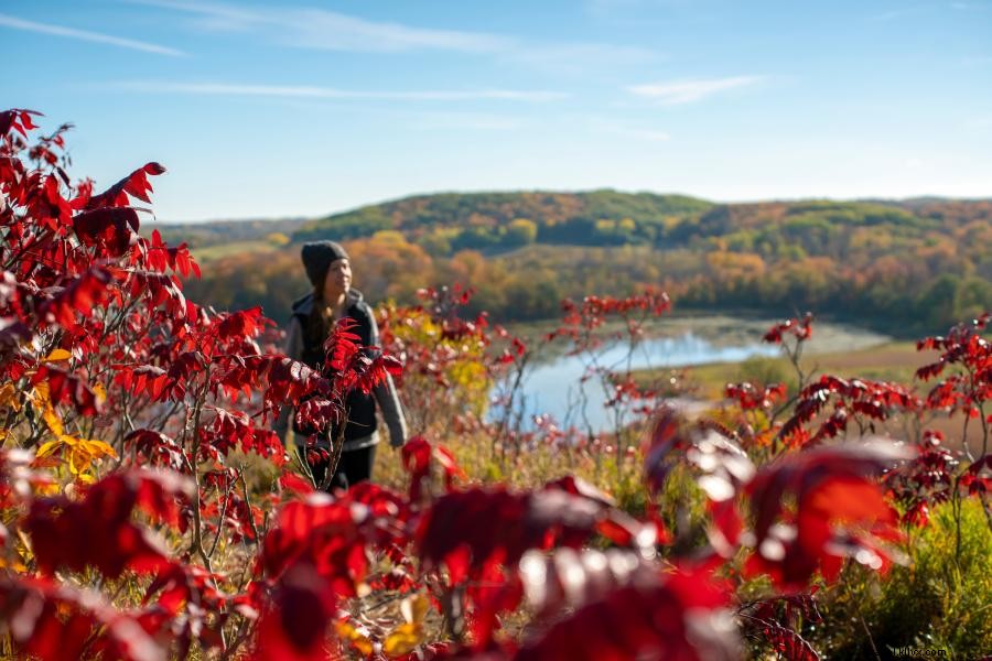 Explore 21 Must‑Visit Minnesota State Parks by Region