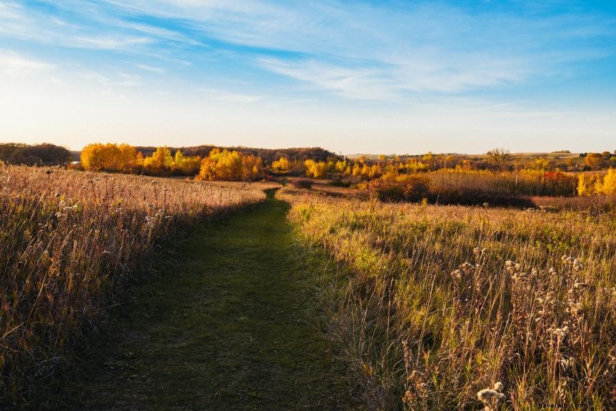 Minnesota’s Ultimate Dog‑Friendly Outdoor Getaway: Hiking, Scenic Views, and More