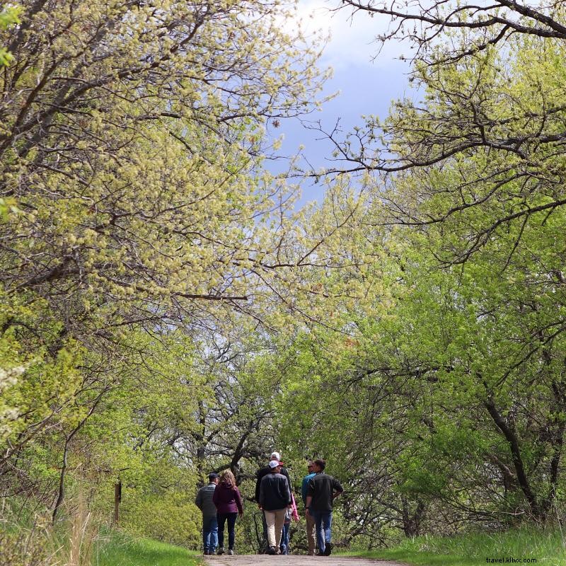 Three-Day Minnesota I-35 Road Trip: Lakes, Cuisine, and Craft Beer