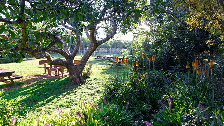 Explore Scenic Rim’s Premier Wineries, Breweries & Distilleries