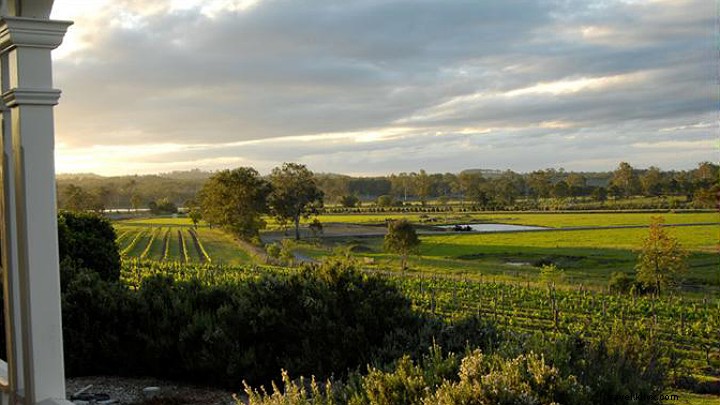Explore Scenic Rim’s Premier Wineries, Breweries & Distilleries