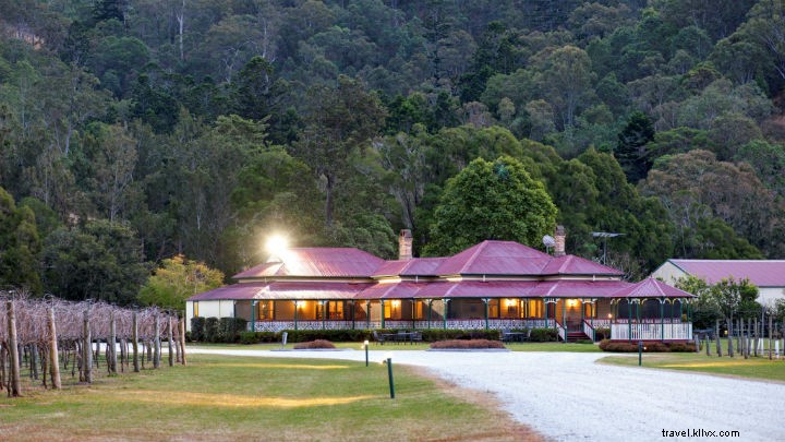 Explore Scenic Rim’s Premier Wineries, Breweries & Distilleries