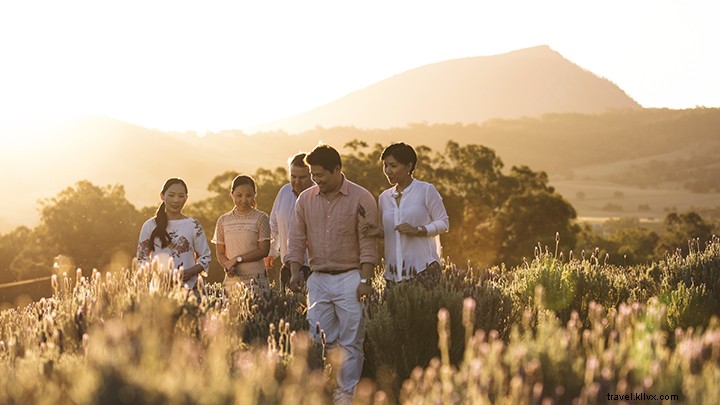 Explore Scenic Rim’s Premier Wineries, Breweries & Distilleries