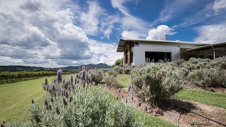 Explore Scenic Rim’s Premier Wineries, Breweries & Distilleries