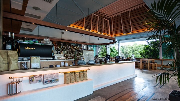 The Ultimate Pub Crawl: Caxton Street & Latrobe Terrace Adventure