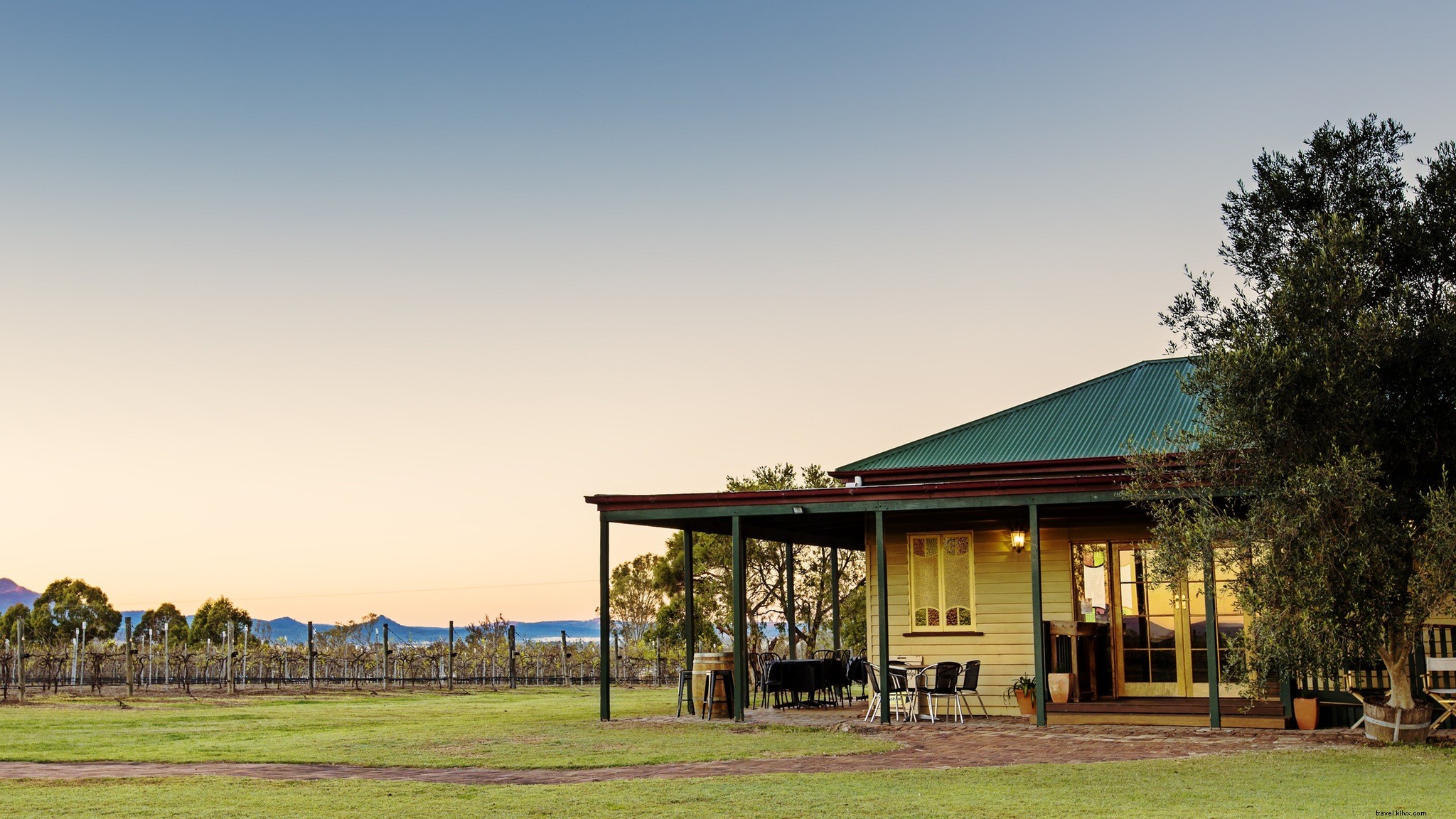 Explore Brisbane s Premier Wineries for a Premium Wine Experience