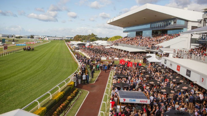 Celebrate the 2019 Melbourne Cup in Brisbane: Top Events & Venues