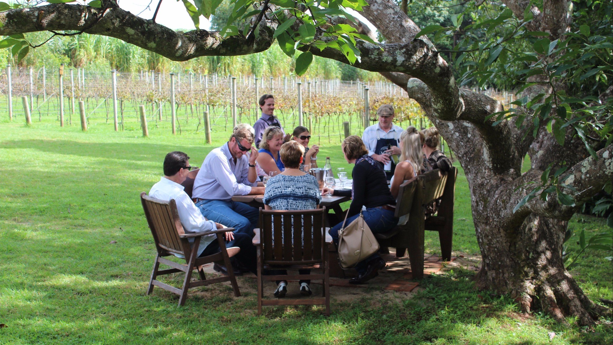 Discover Brisbane Through Gourmet Food & Drink Tours