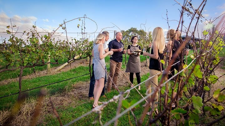 Discover Brisbane Through Gourmet Food & Drink Tours