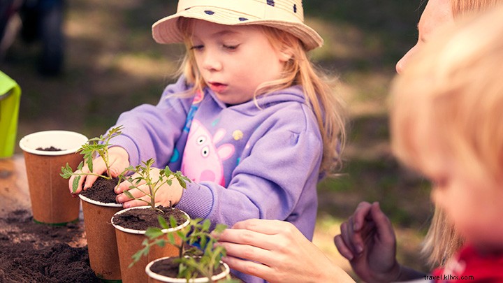 13 Must‑See Highlights at Regional Flavours Brisbane