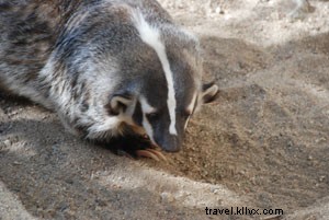 Discover the Ultimate Palm Desert Weekend Getaway