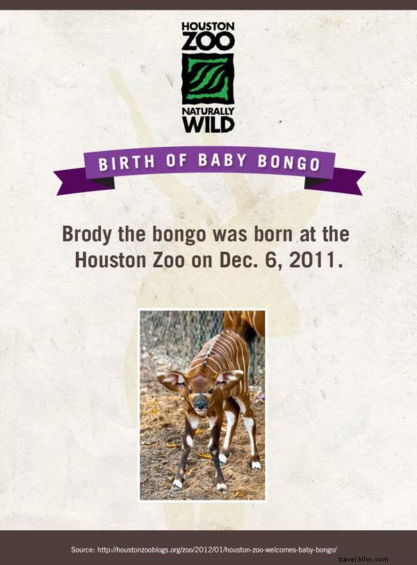 Meet the Adorable Newborn Stars of American Zoos