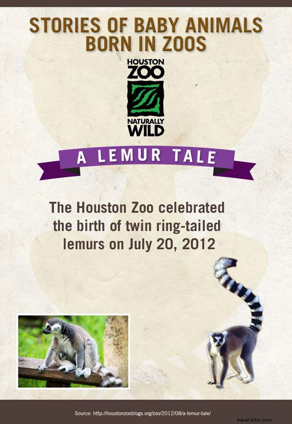 Meet the Adorable Newborn Stars of American Zoos