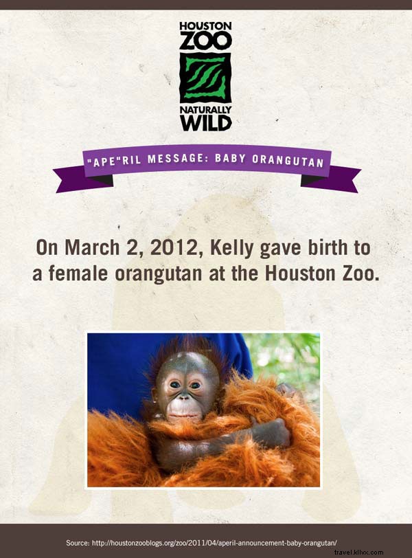 Meet the Adorable Newborn Stars of American Zoos