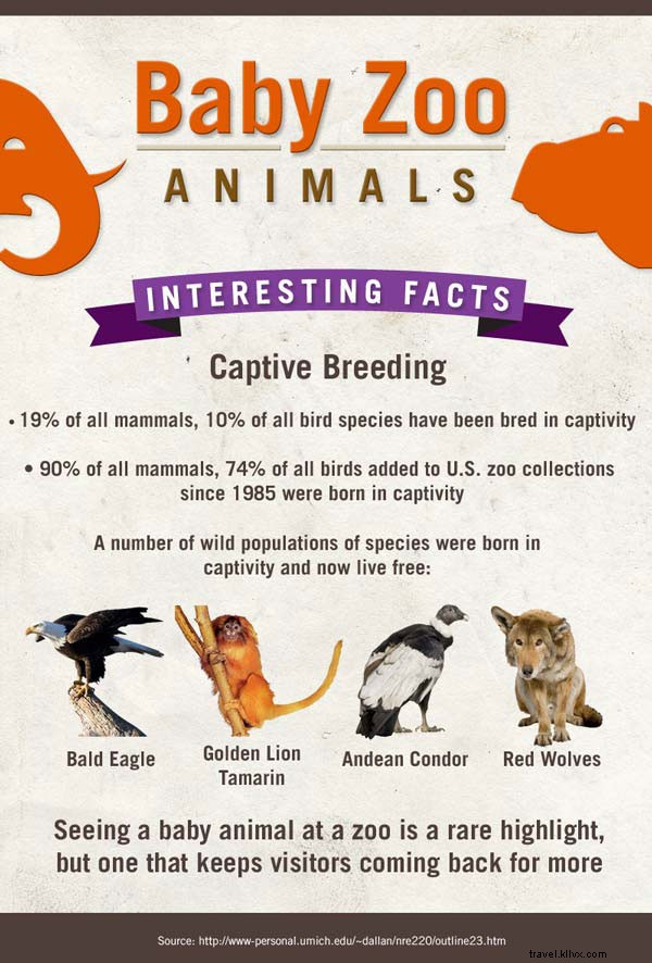 Meet the Adorable Newborn Stars of American Zoos