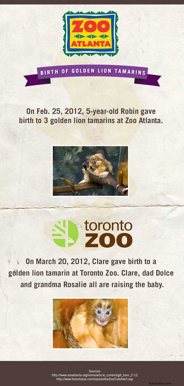 Meet the Adorable Newborn Stars of American Zoos