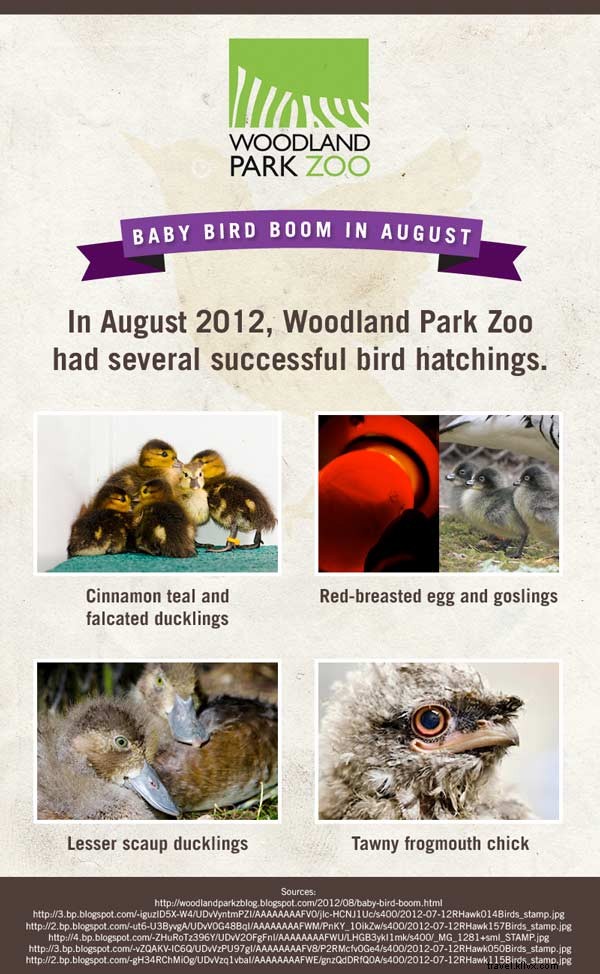 Meet the Adorable Newborn Stars of American Zoos