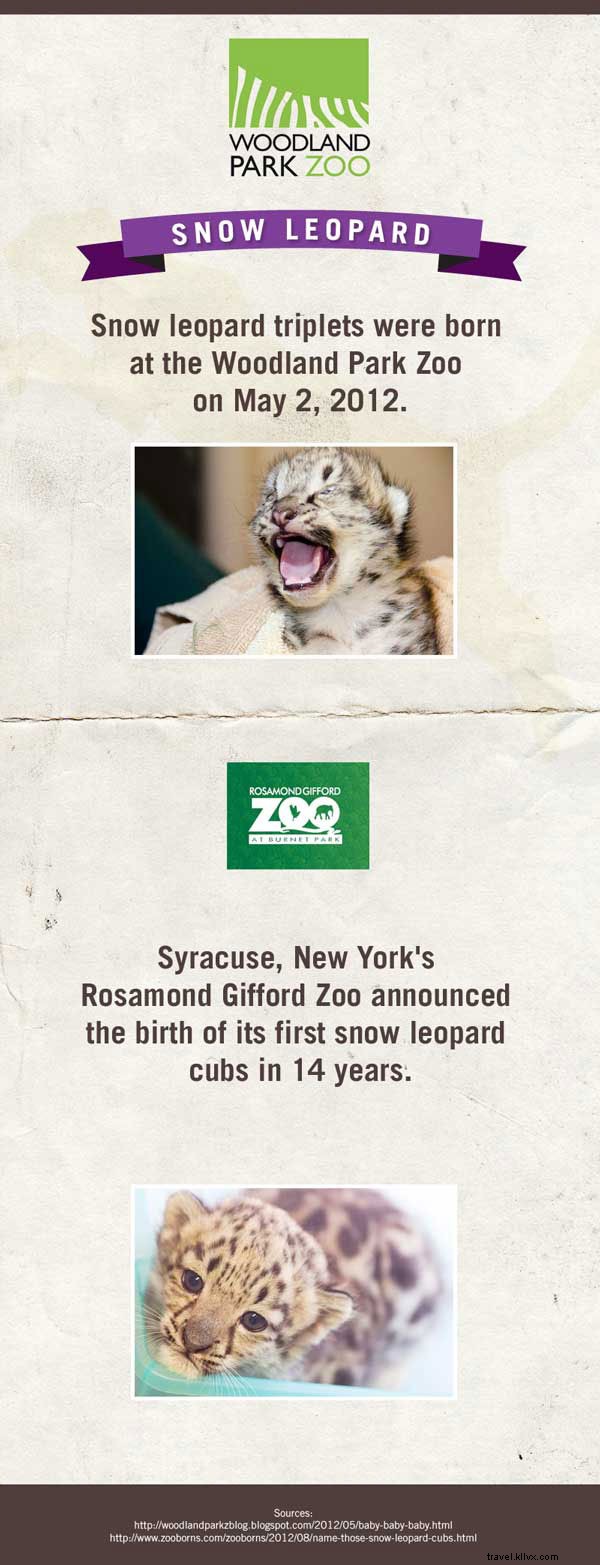 Meet the Adorable Newborn Stars of American Zoos