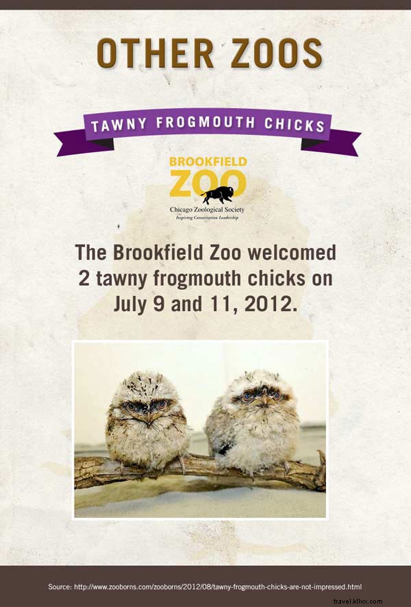 Meet the Adorable Newborn Stars of American Zoos