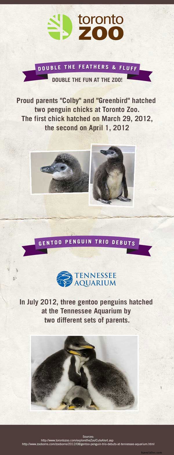 Meet the Adorable Newborn Stars of American Zoos