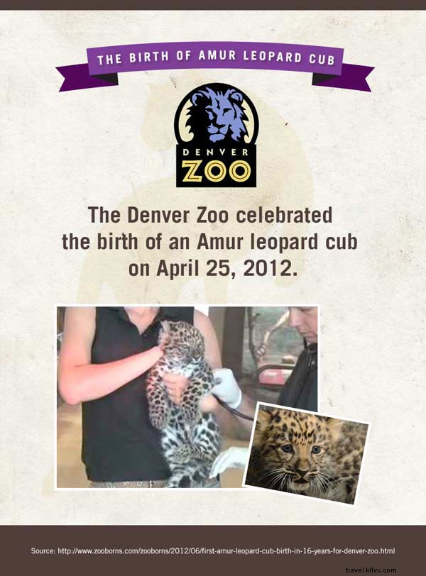 Meet the Adorable Newborn Stars of American Zoos