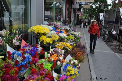 Strolling Through Williamsburg: Brooklyn’s Hipster Haven