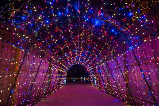 Celebrate Houston Holidays: Create Lasting Family Memories