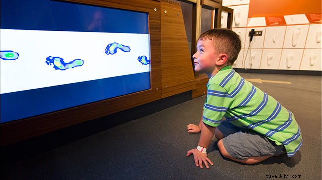 Top Interactive Exhibits for Kids at Boston’s Museum of Science
