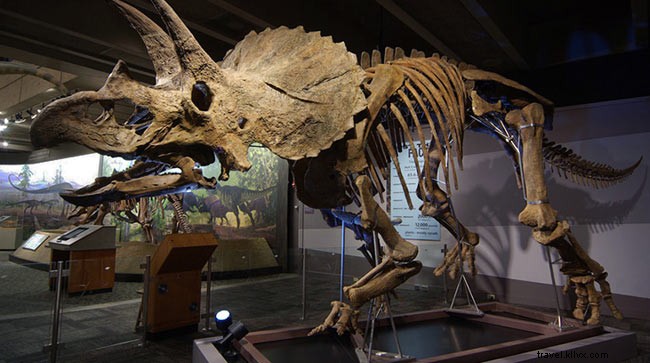 Top Interactive Exhibits for Kids at Boston’s Museum of Science