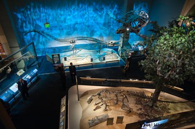 Dallas Adds CityPASS – Unlock Exclusive Discounts on Top Attractions