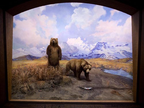 Explore AMNH: Insider Tips & Must-See Highlights