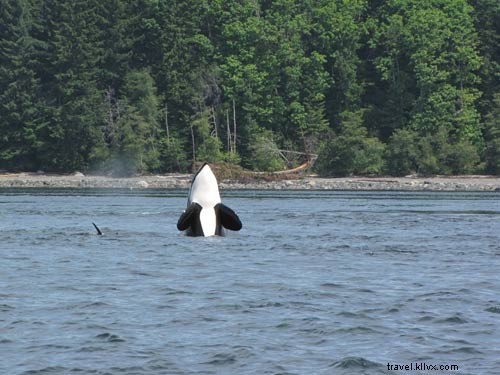 Experience Seattle’s Iconic Boat Ride to Blake Island
