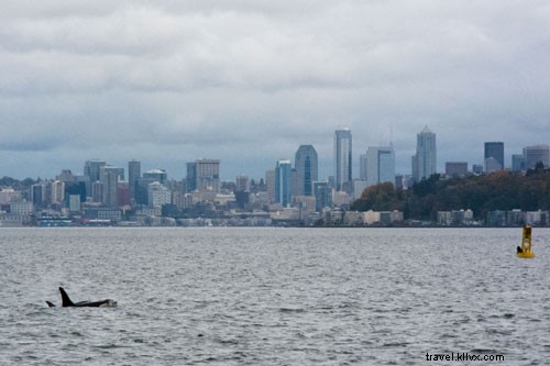 Experience Seattle’s Iconic Boat Ride to Blake Island