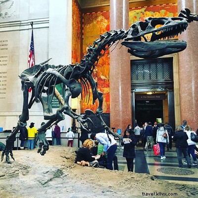 7 Reasons NYC is a Must-Visit Summer Destination