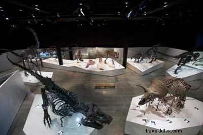 Meet Jurassic James: Houston Museum of Natural Science’s Celebrated Guide and Educator