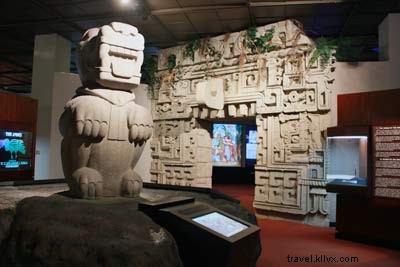 Meet Jurassic James: Houston Museum of Natural Science’s Celebrated Guide and Educator