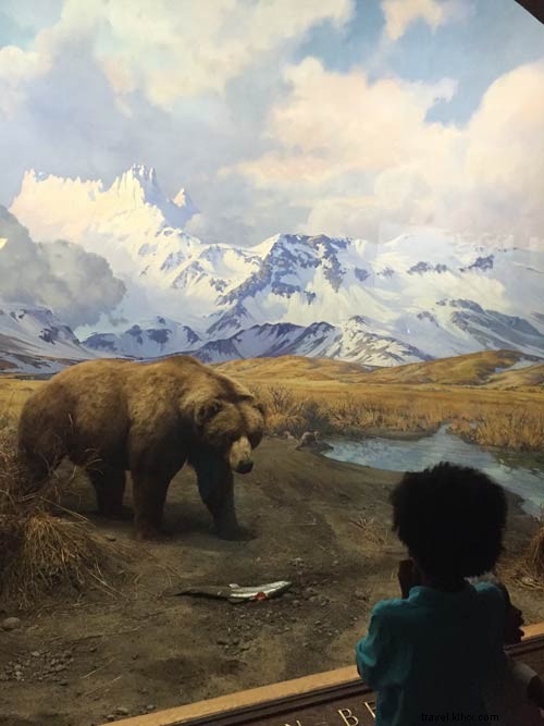 Enjoy a Budget-Friendly, Family-Centric Vacation in New York City