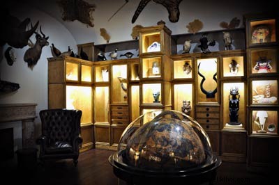 Meet Jurassic James: Houston Museum of Natural Science’s Celebrated Guide and Educator