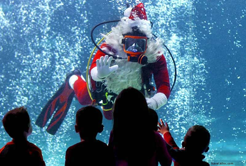 CityPASS Guide: Top Holiday Events & Experiences