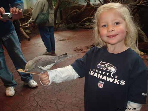 Family-Friendly Adventures in Seattle: Activities for Kids, Parents, and Teens