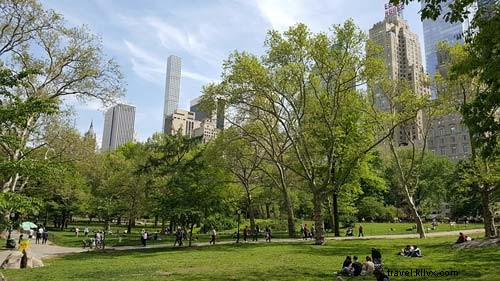 Family-Friendly Activities in NYC: Fun for Kids and Parents Alike