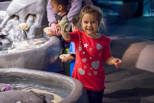 Family-Friendly Chicago: Top Activities for Kids and Parents