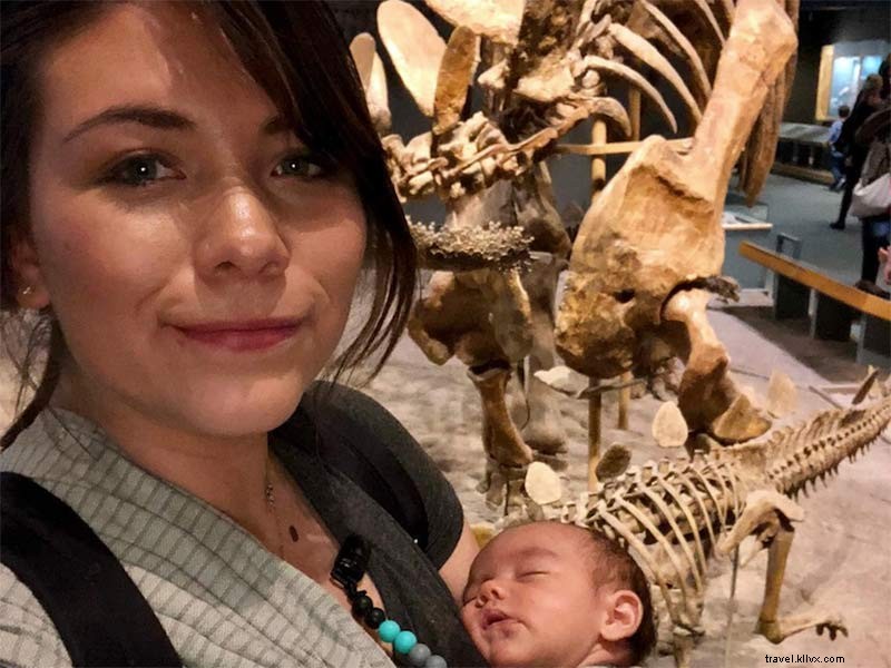 Discover Denver’s Top Museums and Attractions with the CityPASS