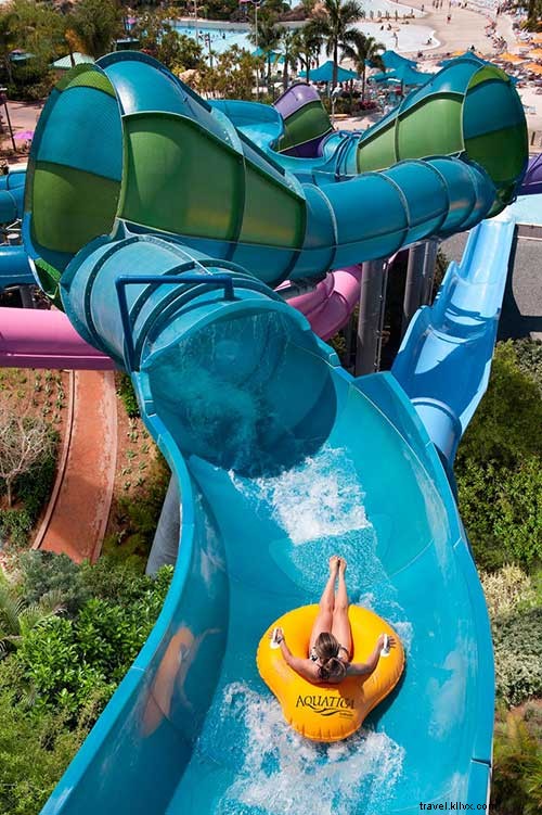 Ultimate 2020 Guide to Visiting SeaWorld Orlando: Must-See Attractions & Insider Tips